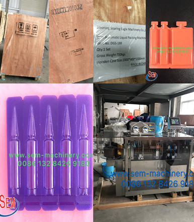 Automatic BFS Liquid Packing Machine Delivery