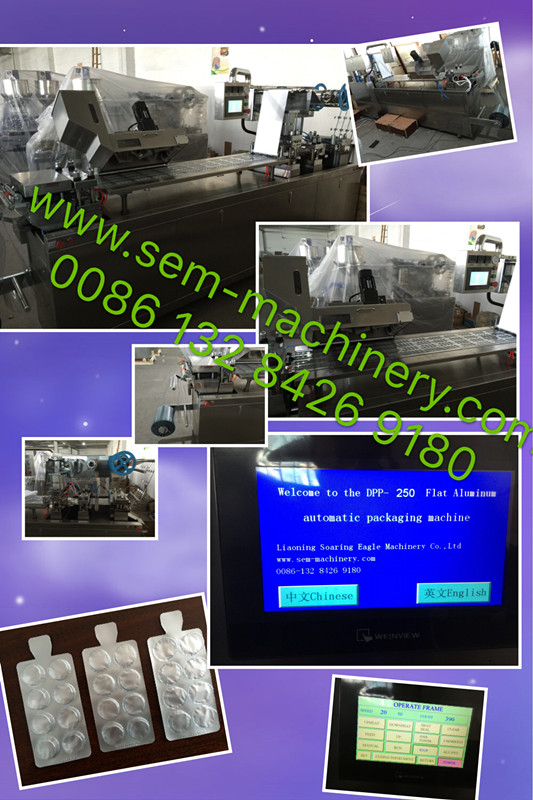 DPP-250 Automatic Blister Packing Machine