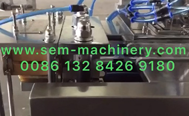 DPP-80 Honey Blister Packing Machine