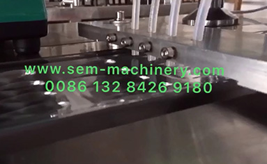 DPP-140 harmaceutical Product Packing Machine