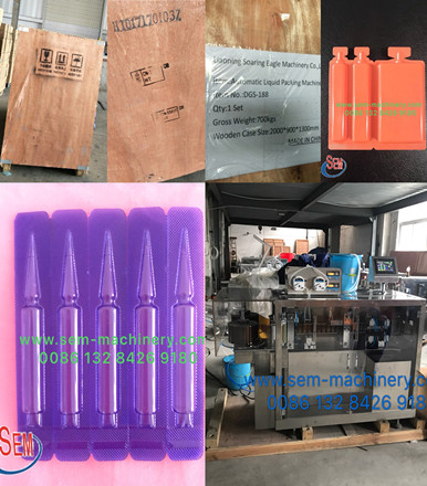 Automatic BFS Liquid Packing Machine Delivery