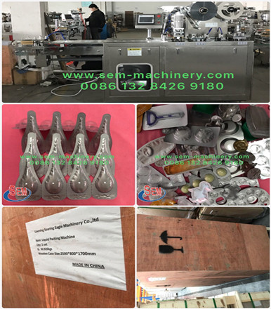 Automatic Blister Packing Machine Delivery