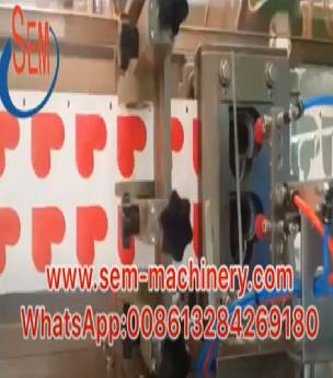 Automatic Heart Shape Sachet packing machine