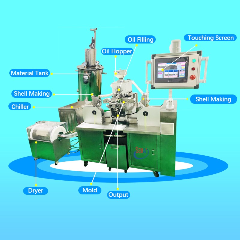 Customized Animal Shape Soft Gelatin Encapsulation Machines Full Automatic Soft Capsule Production