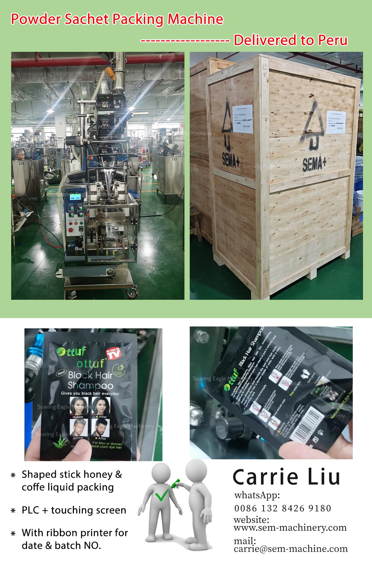 Powder Sachet packing machine——deliver to Peru