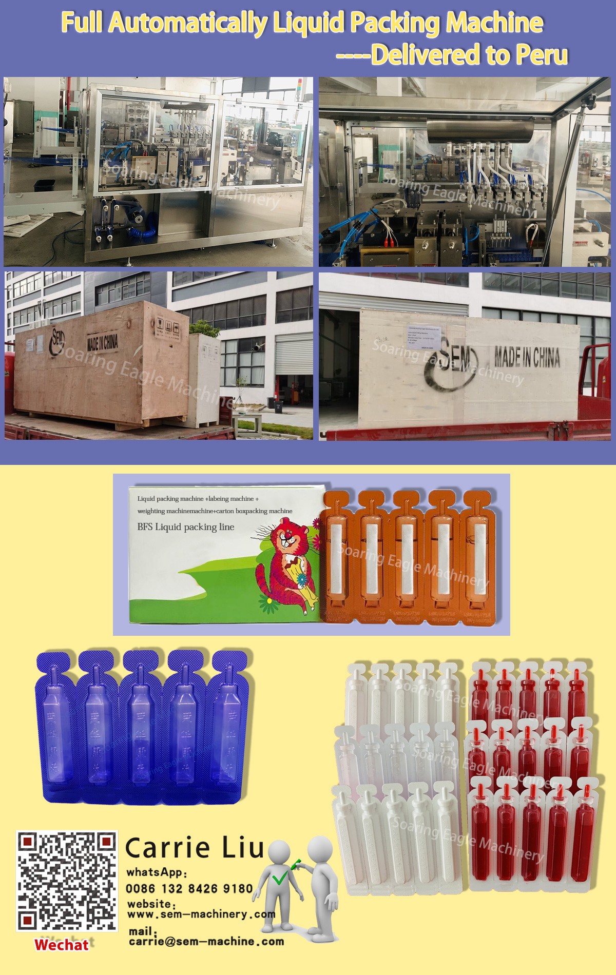 Full automatic liquid filling machine——delivered to Peru