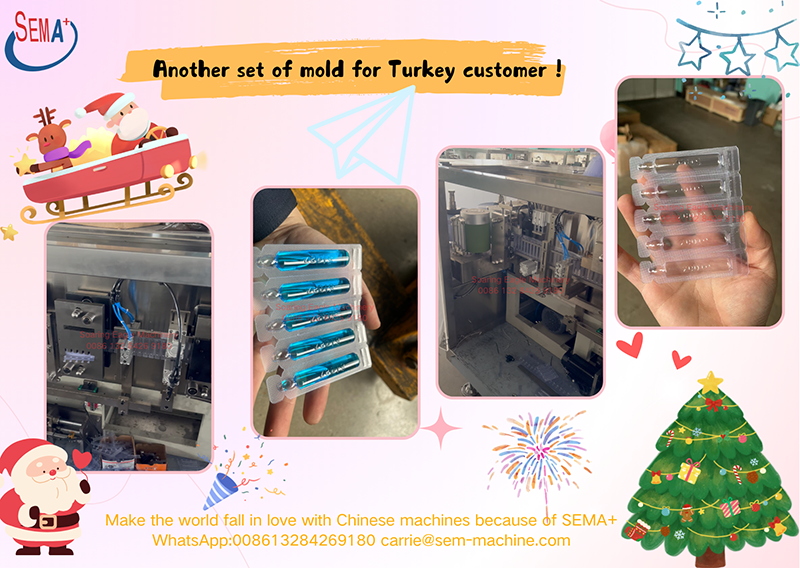 Another set of mold for Turkey customer