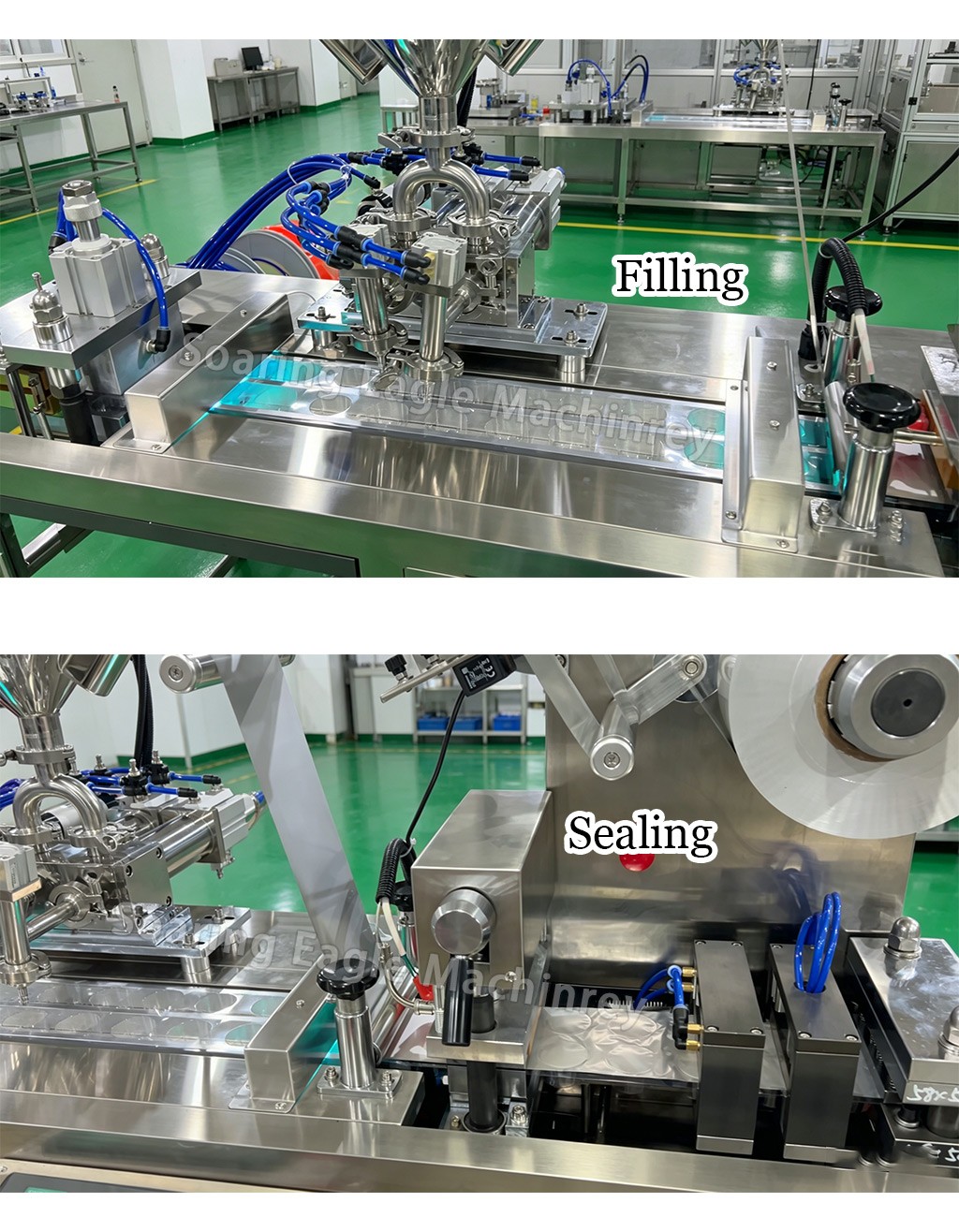 Automatic Thermoforming Food Blister Packing Machine for Honey Butter and Sauce Packaging Automatic Thermoforming Food Blister Packing Machine for Honey Butter and Sauce Packaging