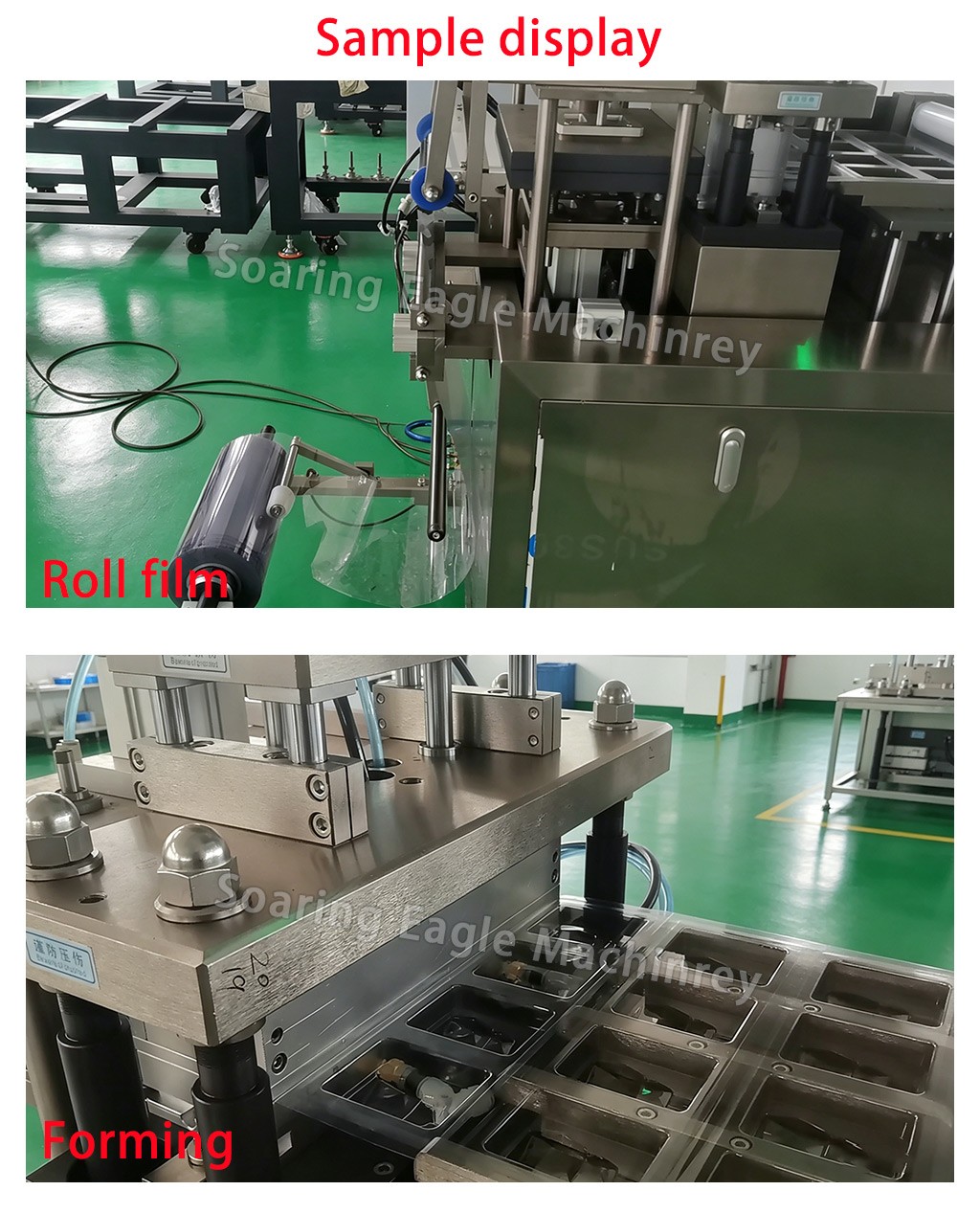 Automatic Card Blister Packing Machine for Cosmetic Perfume Paper Card Blister Packaging Equipment Automatic Card Blister Packing Machine for Cosmetic Perfume Paper Card Blister Packaging Equipment