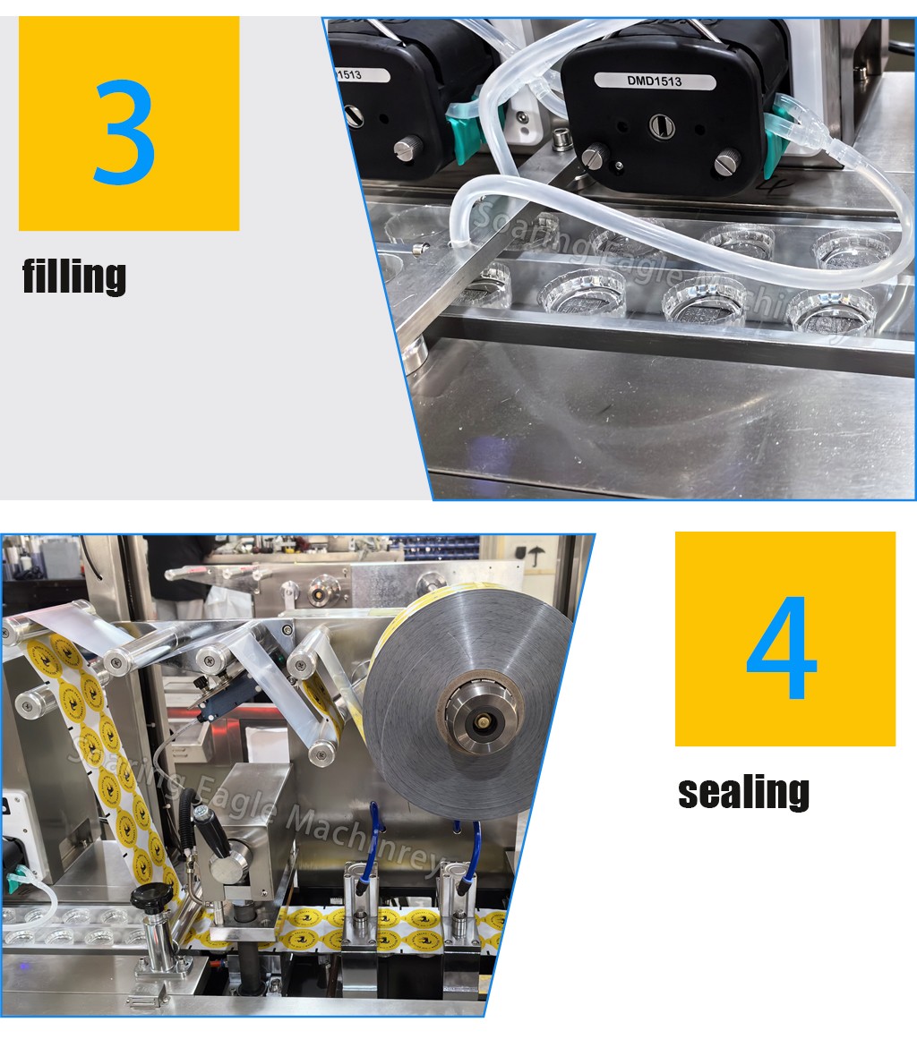 Automatic Olive Oil Blister Packing Machine for Single-Dose Olive Oil Capsules & Liquid Blister Packaging Automatic Olive Oil Blister Packing Machine for Single-Dose Olive Oil Capsules & Liquid Blister Packaging