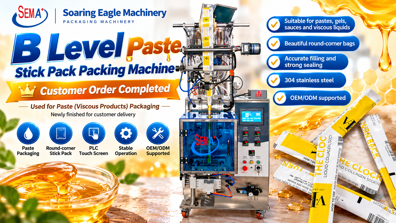B-Level Paste Sachet Packing Machine Shipped to Croatia