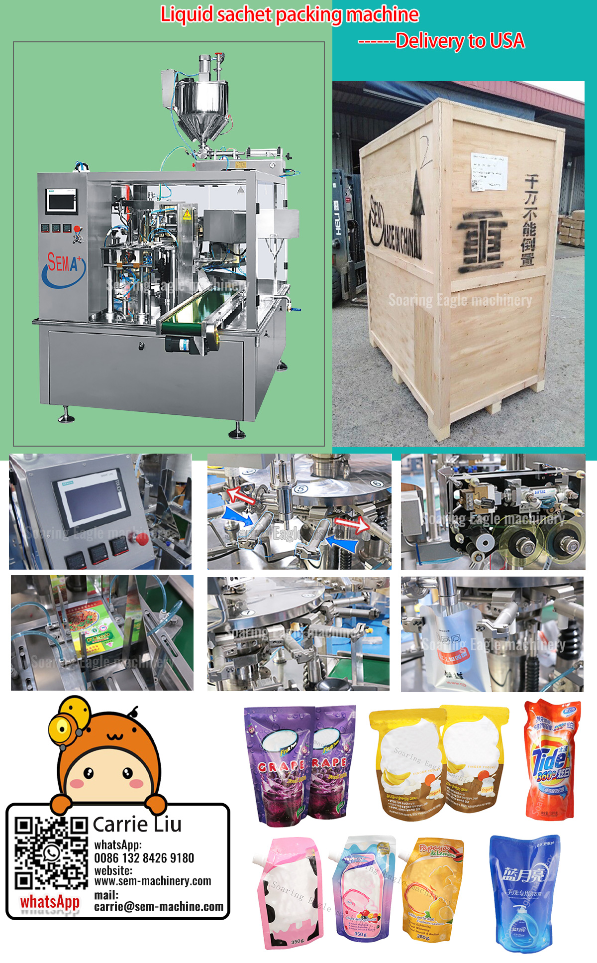 Pouch bag sachet packing machine——Deliver to USA