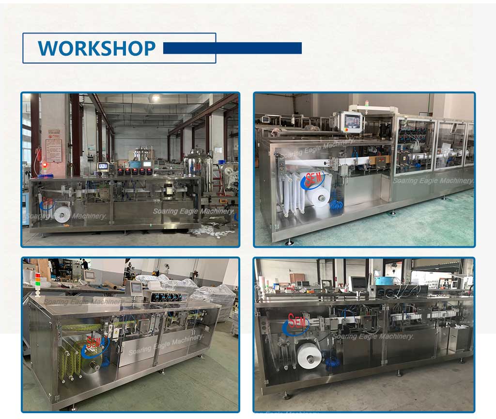 DGS240 pharmaceutical cosmetic cream honey food liquid forming filling sealing packing machine