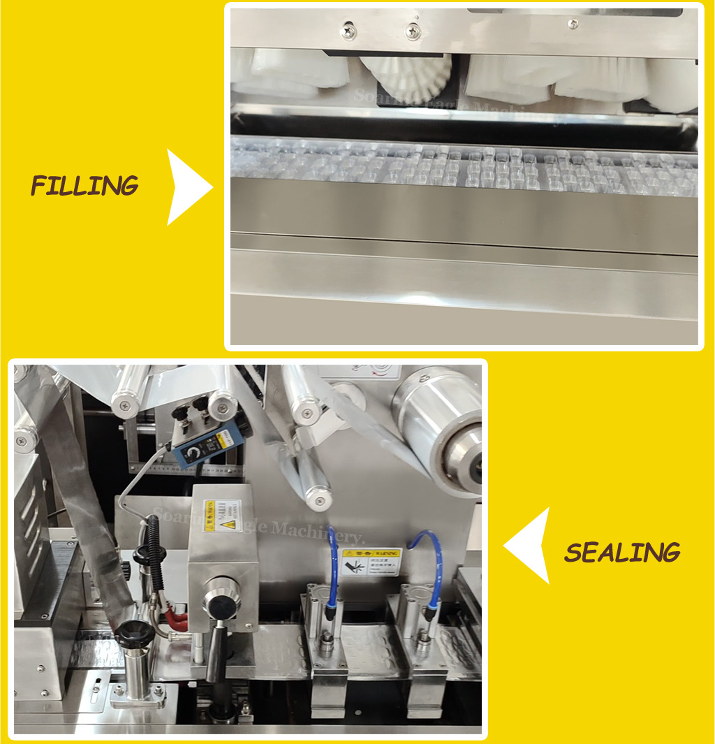 Pharmaceutical tablet pill capsule medical medicine blister packing machine