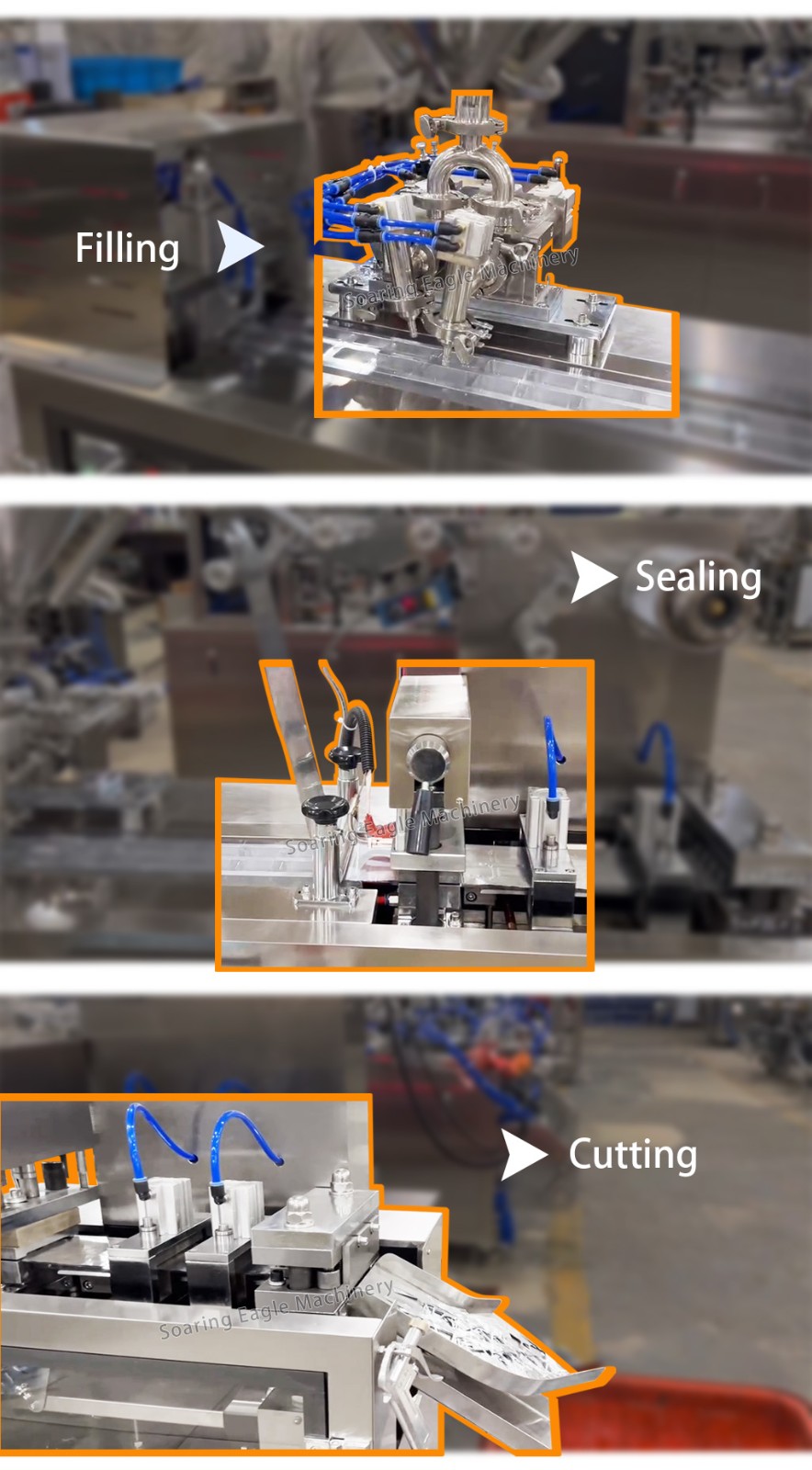 Automatic Cream Paste Tomato Sauce Plastic Filling Sealing Blister Packing Machine