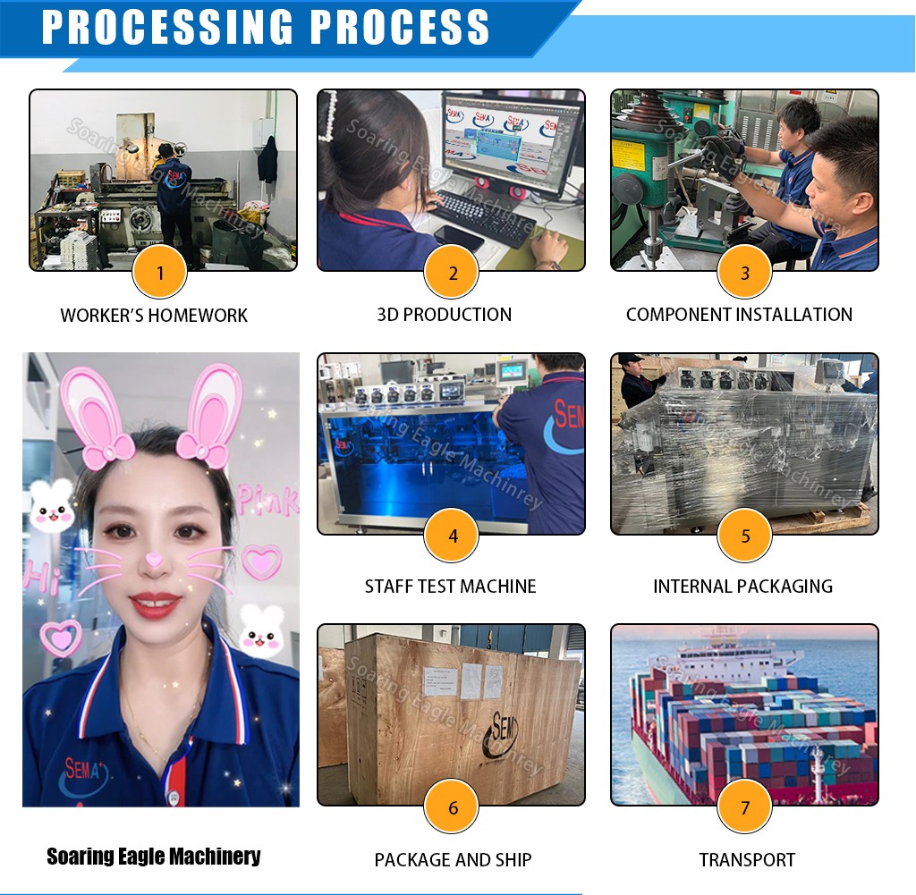Small Liquid Filling Plastic Ampoule Filling and Sealing Machine