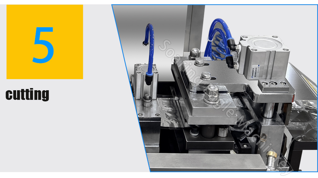 Full Automatic Chocol Jam Butter Mayonnaise with Seeds Blister Form Fill Seal Packaging Blister Pack Machine for Honey