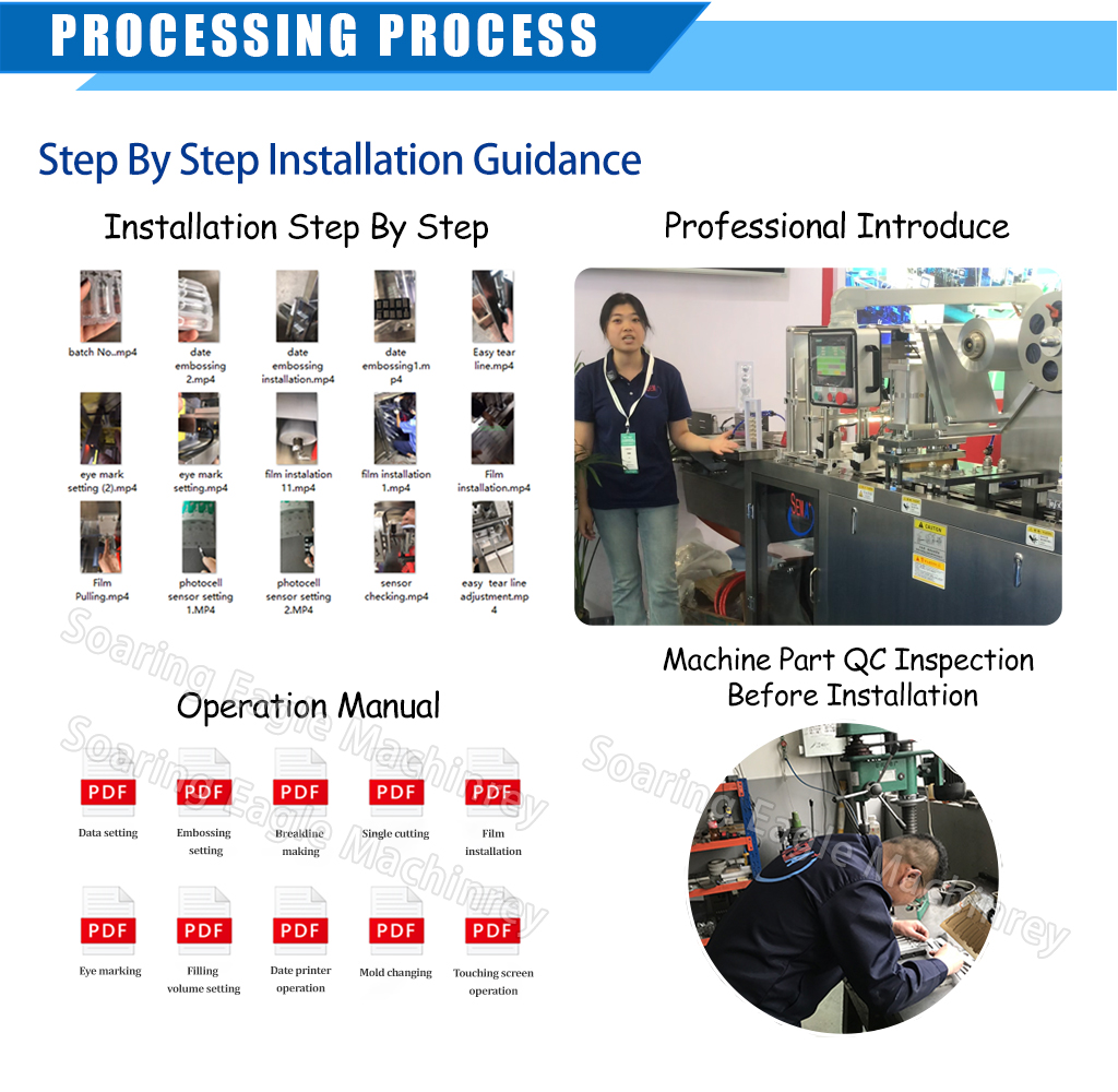 Fully Automatic Double Pump Tomato Sauce Jam Chocolate Honey Blister Packaging Machine Filling Machine
