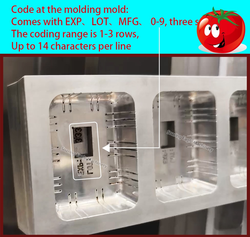 Automatic Blister Food BBQ Sauce Heart-shaped Honey Cream Chocolate Liquid Blister Filling Sealing Blister Packaging Machine