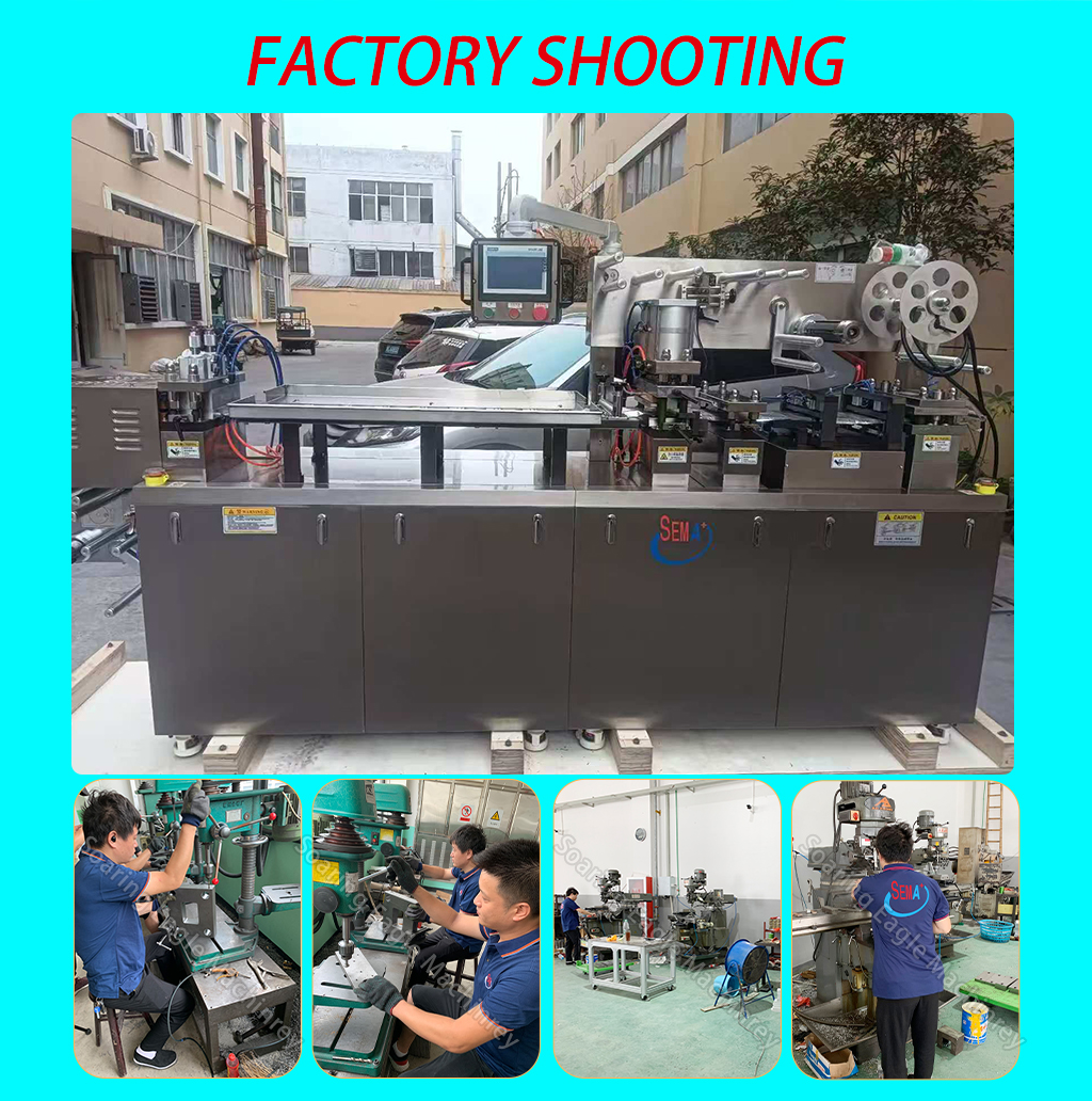 Fully Automatic Double Pump Tomato Sauce Jam Chocolate Honey Blister Packaging Machine Filling Machine