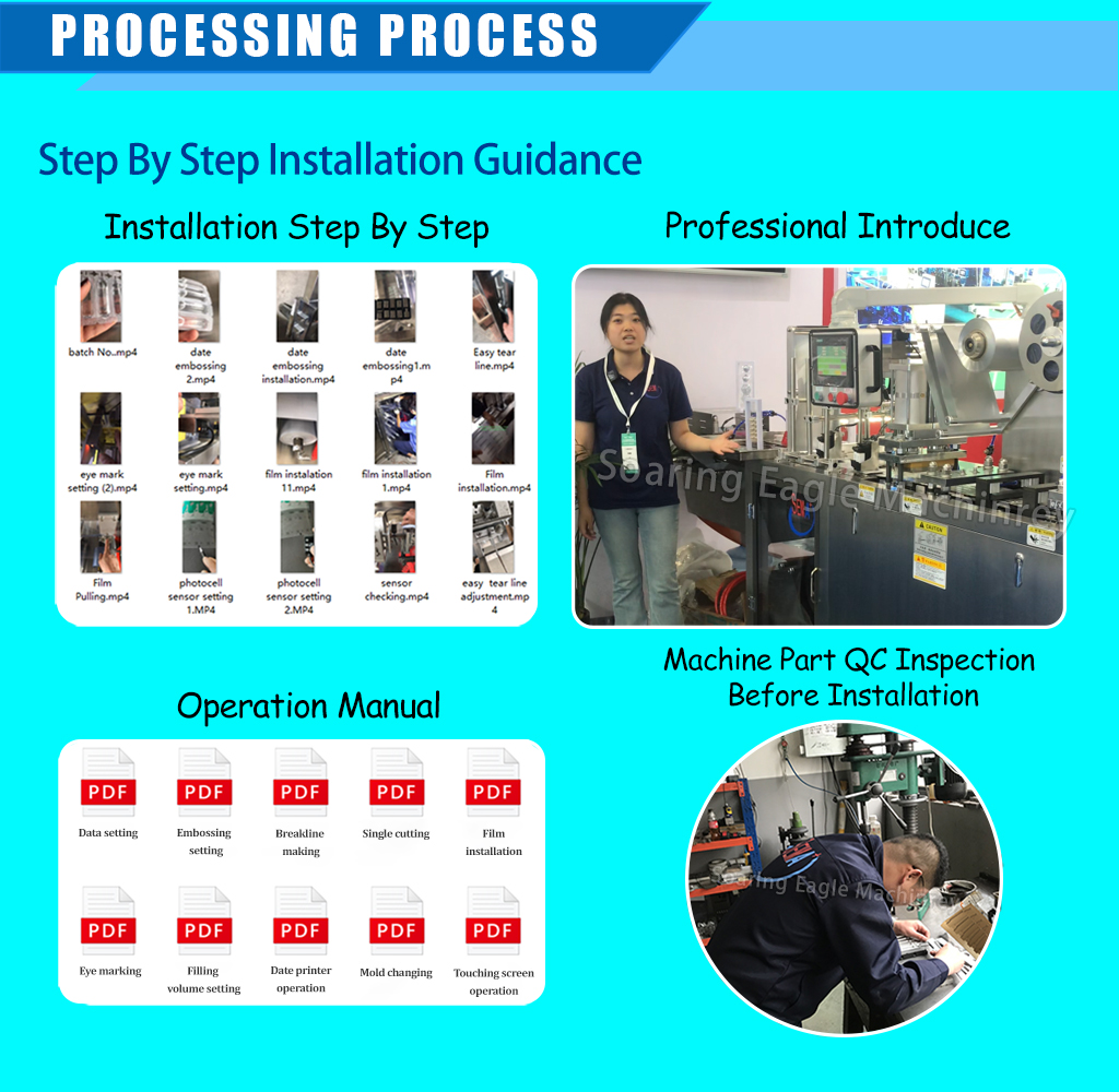 Fully Automatic Double Pump Tomato Sauce Jam Chocolate Honey Blister Packaging Machine Filling Machine