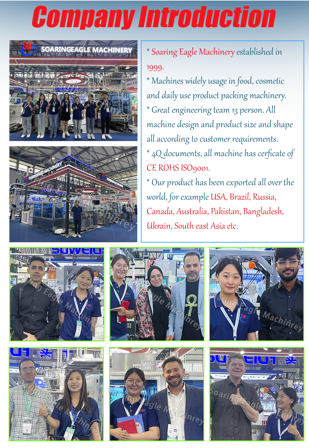 Multilane Hopper Mayonnaise Drinks Beverages Packaging Multi Line Sachet Packing Machine