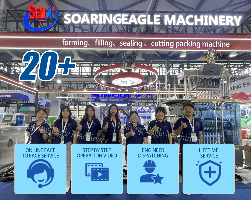 Automatic Electric PLC Pump Filling Machine for Olive Oil Juice Milk Pet Liquid with Easy Open Ampoule Packaging