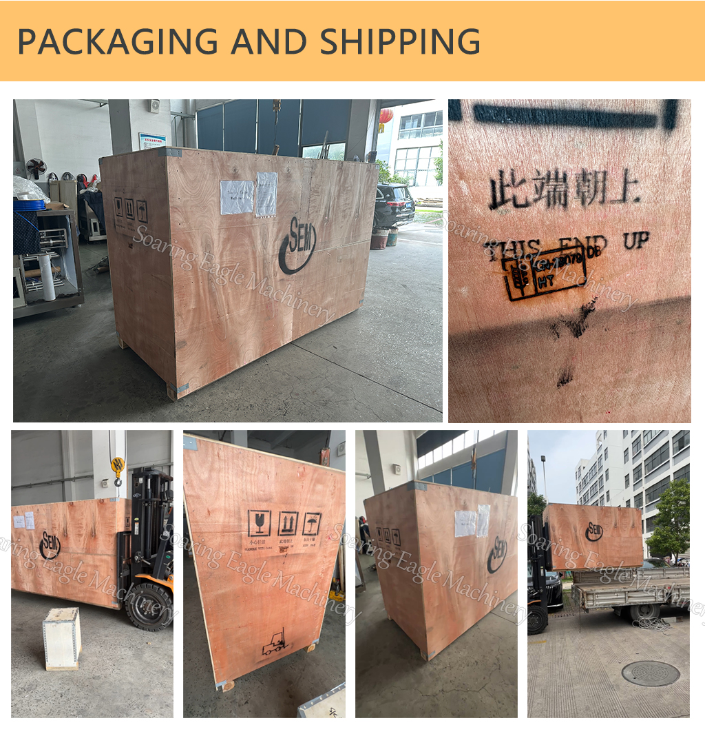 Automatic Electric PLC Pump Filling Machine for Olive Oil Juice Milk Pet Liquid with Easy Open Ampoule Packaging