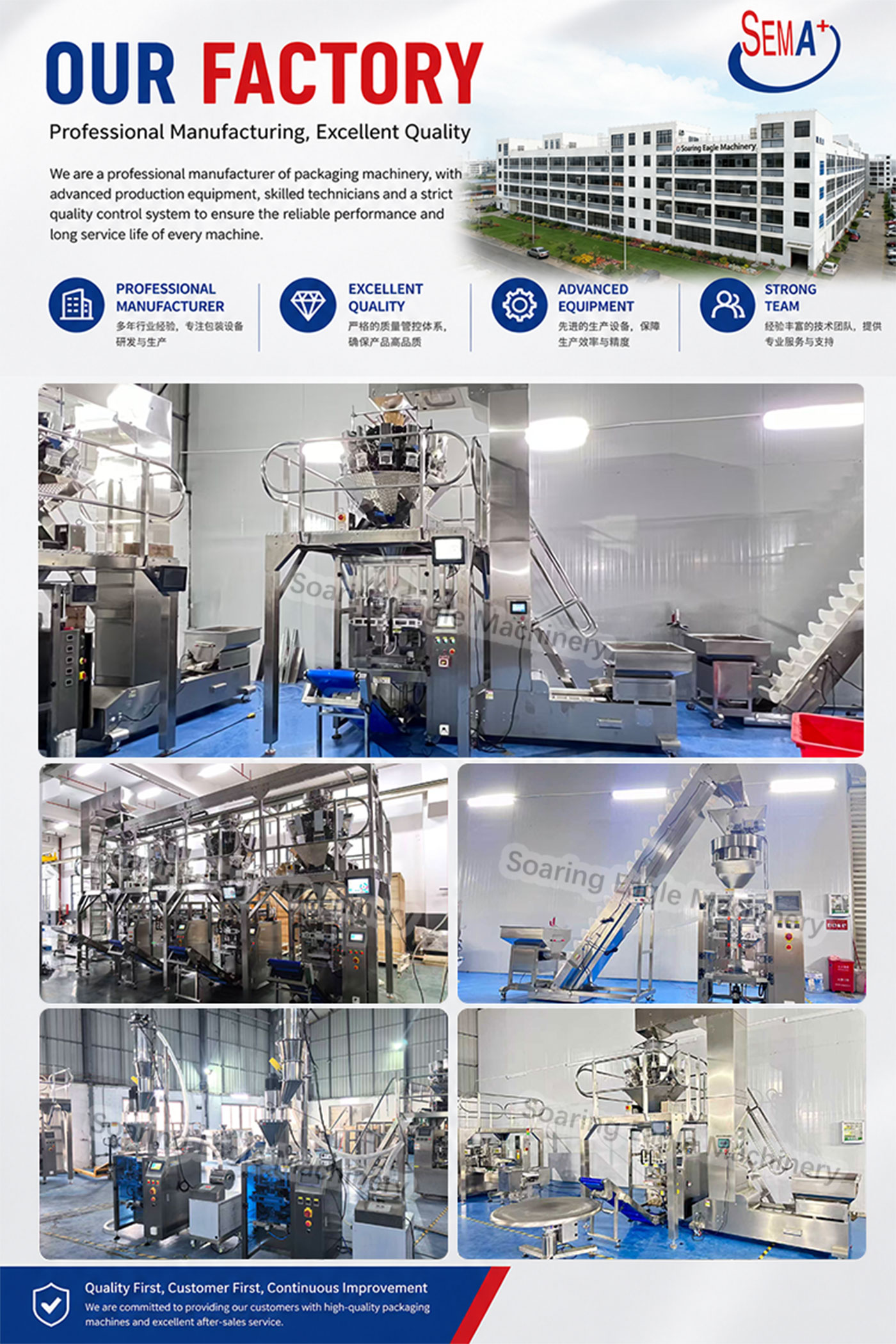 Automatic VFFS Pouch Bag Packing Machine for French Fries Automatic VFFS Pouch Bag Packing Machine for French Fries