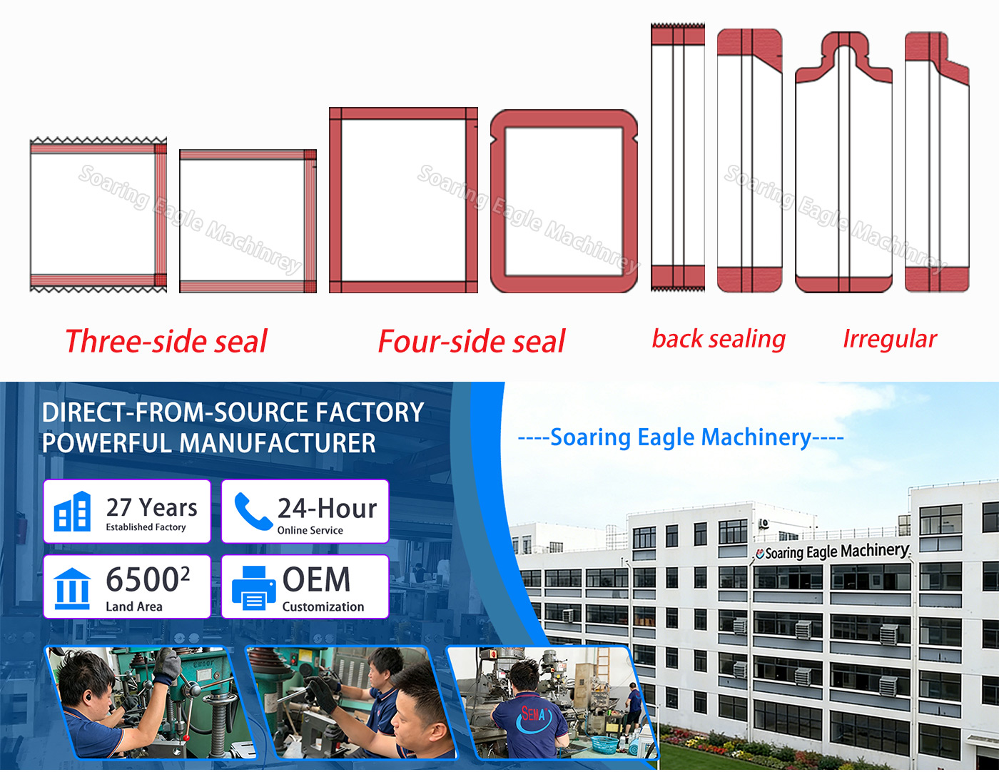 Automatic Tablet Capsule Pill Counting Pharmaceutical Packing Machine with Second Weight Check