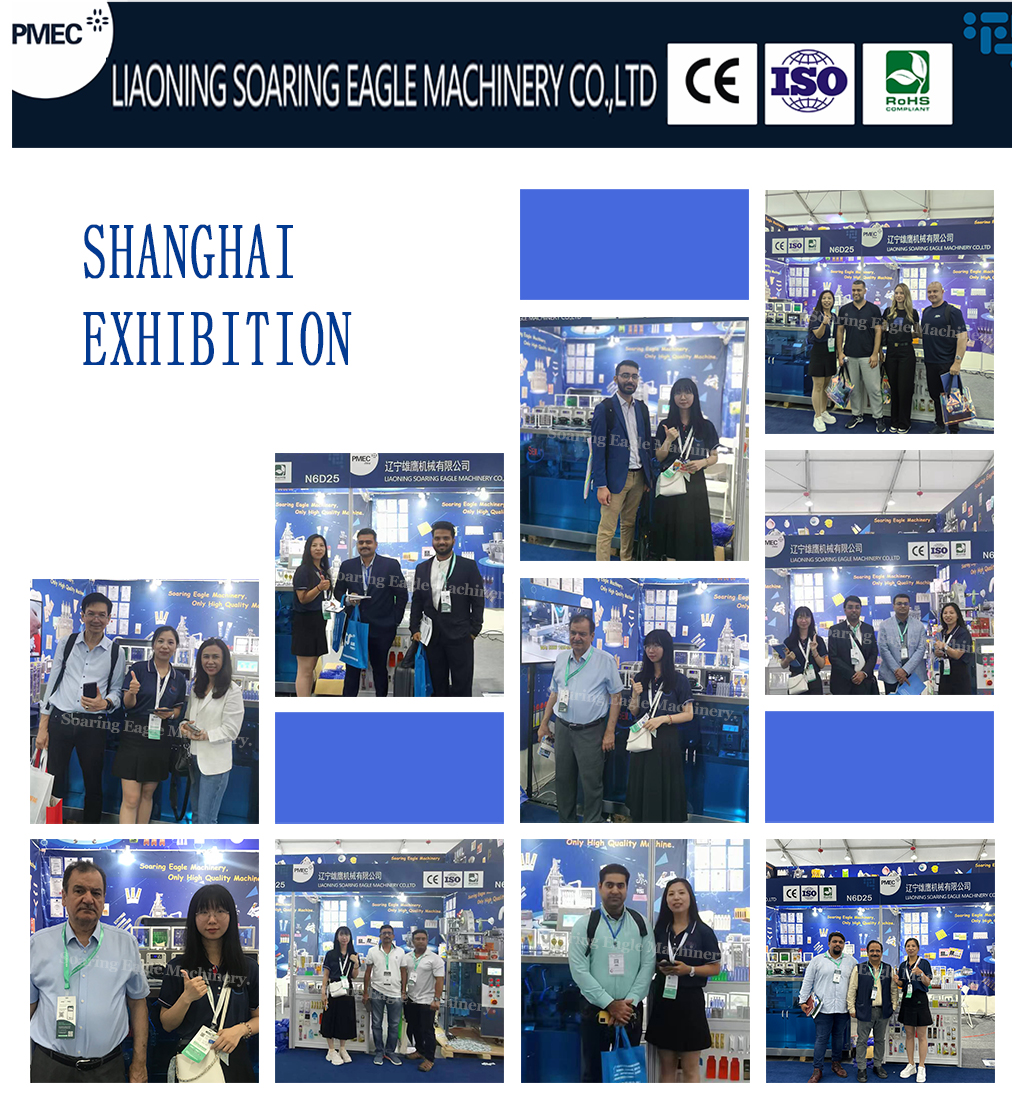 Automatic DGS240S Plastic Ampoule Filling Machine for Oral Liquid Packaging Automatic DGS240S Plastic Ampoule Filling Machine for Oral Liquid Packaging