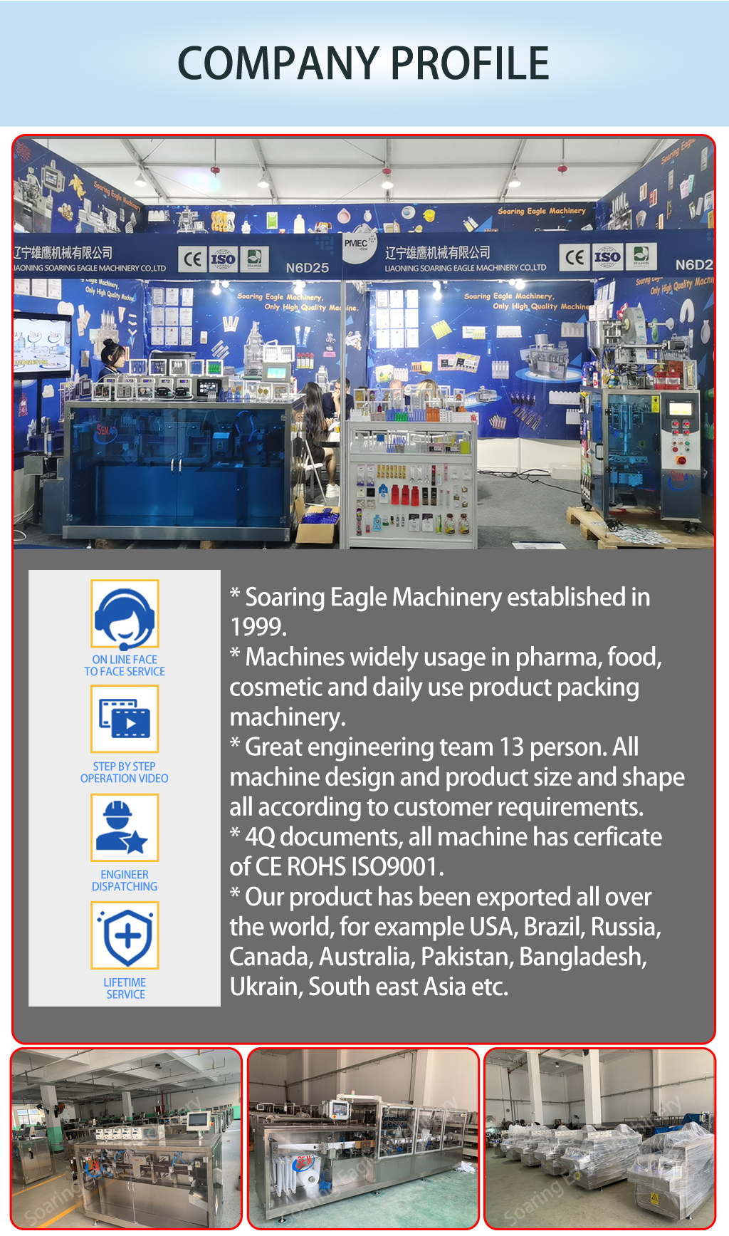 Automatic Plastic Ampoule Filling and Labeling Machine for Oral Liquid Packaging