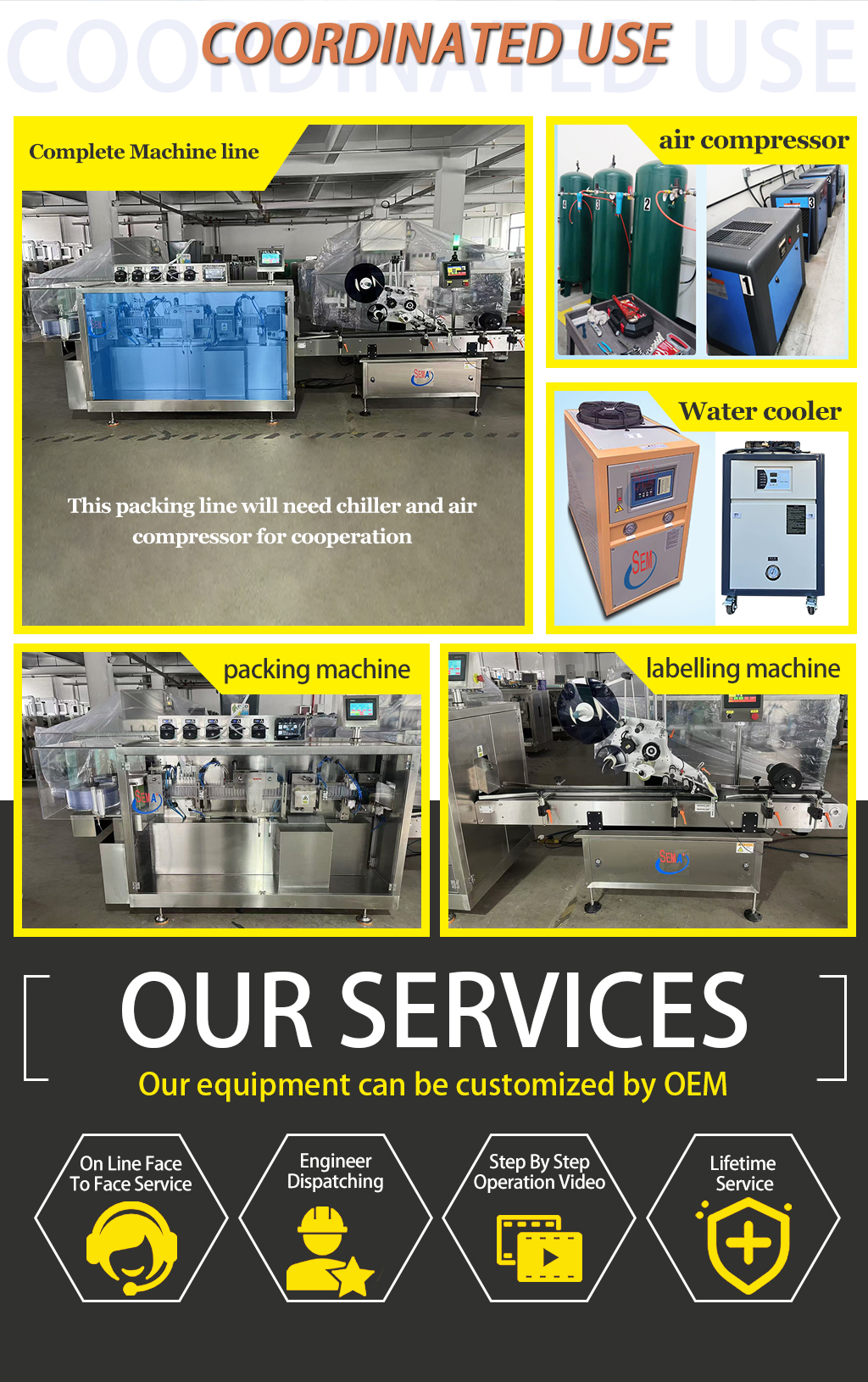 Plastic Ampoule Filling Machine with Labeling Machine | Oral Liquid Packaging Line Plastic Ampoule Filling Machine with Labeling Machine | Oral Liquid Packaging Line