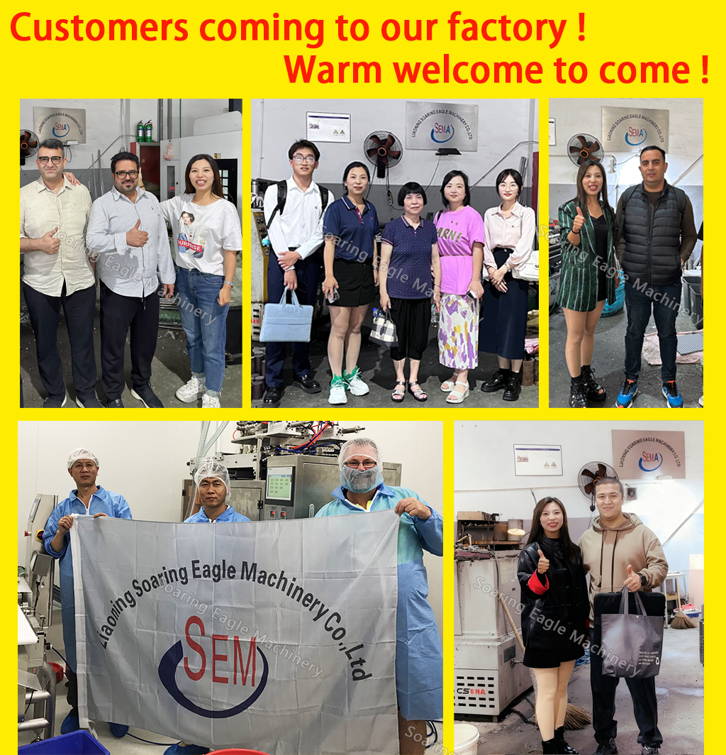 Card Type Easy Snap V Shape Honey Sachet Packing Machine Card Type Easy Snap V Shape Honey Sachet Packing Machine