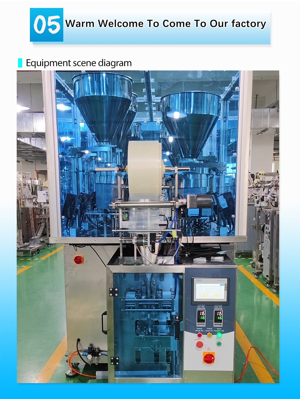 Easy Operation Beautiful Style Pharmaceutical Tablet Sachet Packing Machine