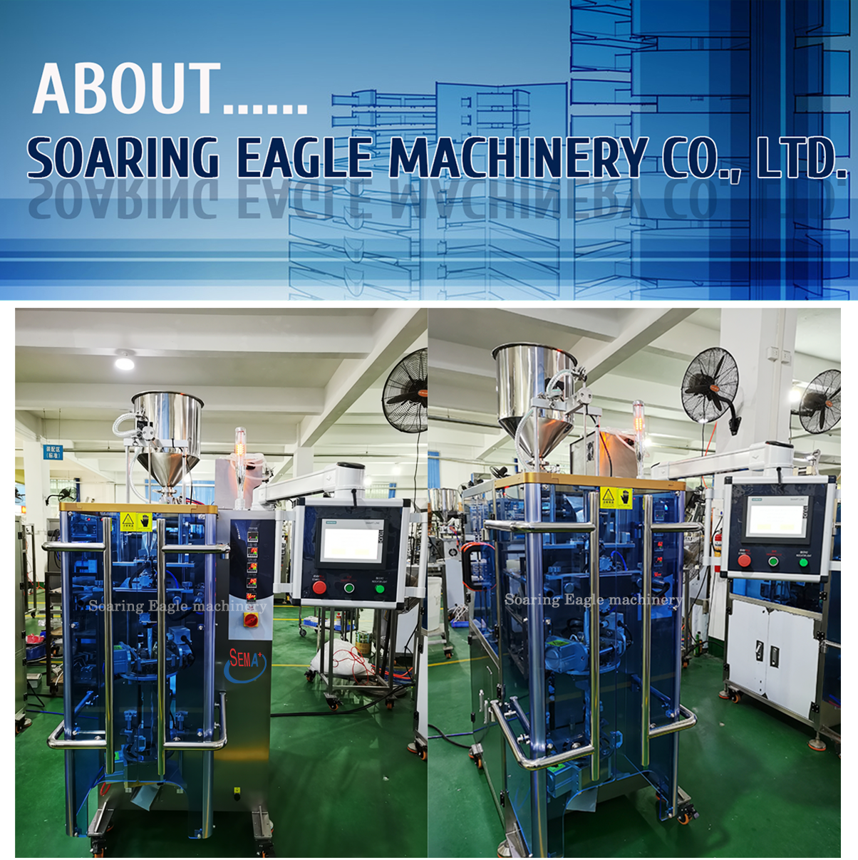 Essence/Lotion/Mask Triangle Bag Multifunctional Automatic Pouch Shaped Sachet Packaging Machine Essence/Lotion/Mask Triangle Bag Multifunctional Automatic Pouch Shaped Sachet Packaging Machine
